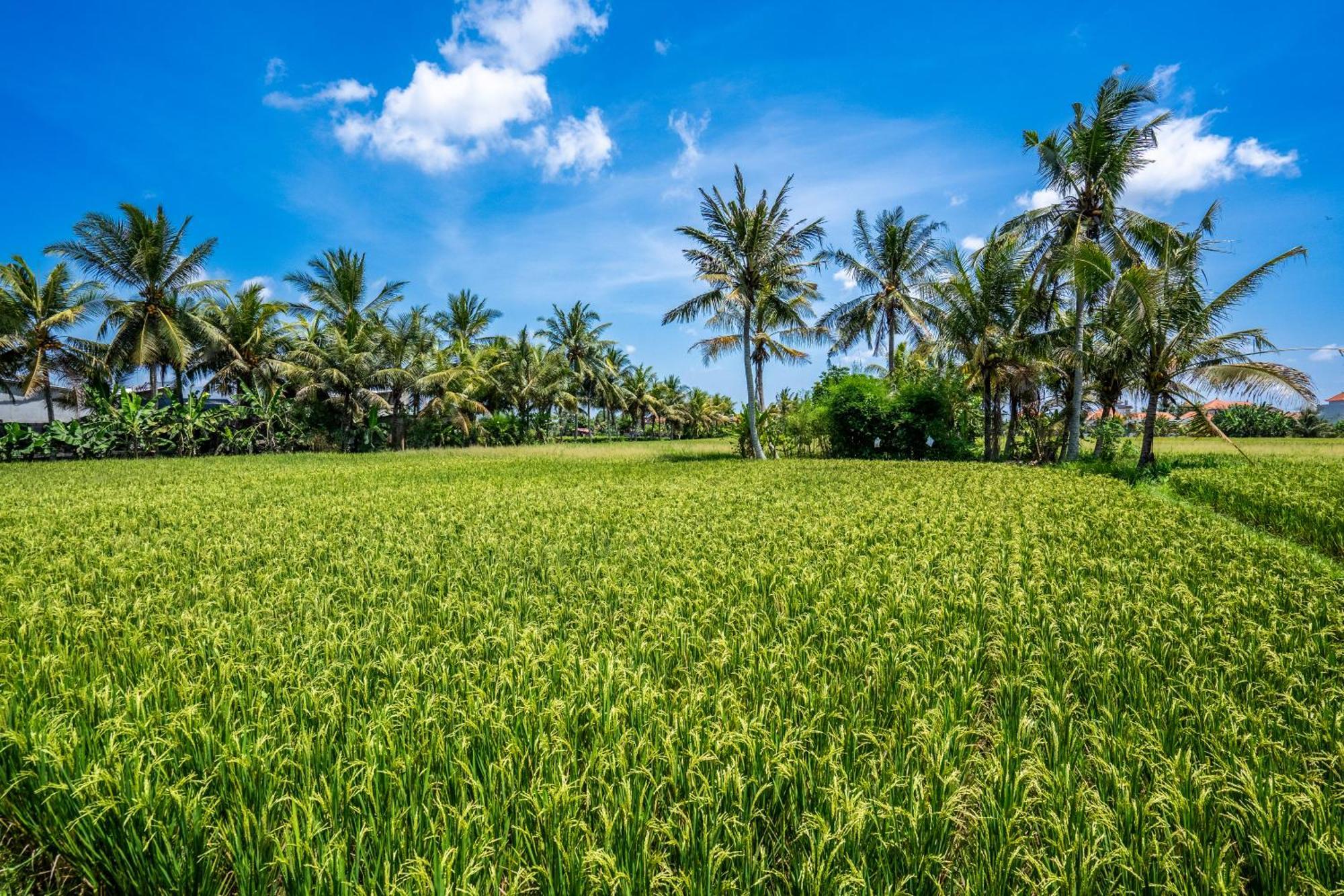 Green Flow Ubud Villas III Exterior foto